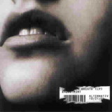 Melodic, tight rock + good vocals = strong album